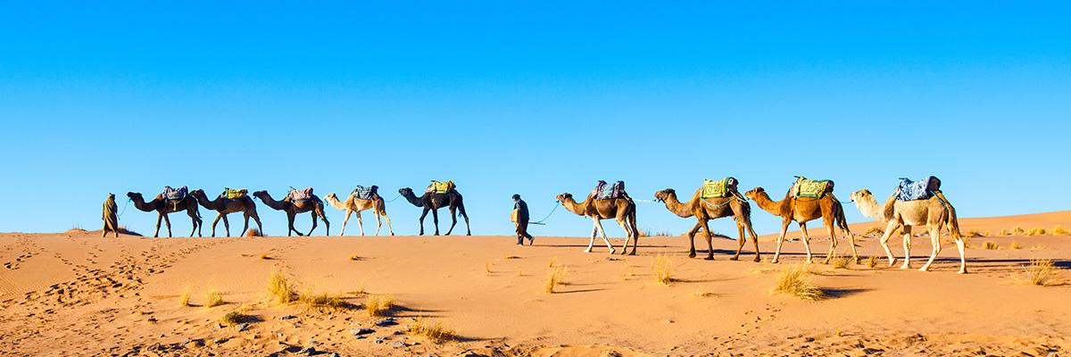 MOROCCO: Deluxe Moroccan Odyssey | 10 Days - background banner
